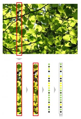 Color Extraction from Seed Image.jpg Color Extraction from Seed Image.jpg