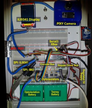 fur20180218b.jpg fur20180218b.jpg