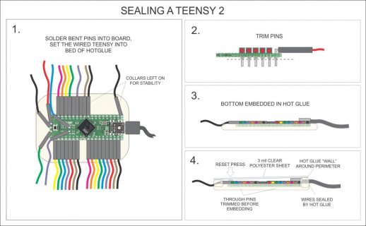 SEALING TEENSY 2.jpg