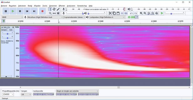 bat1spectrogram.jpg