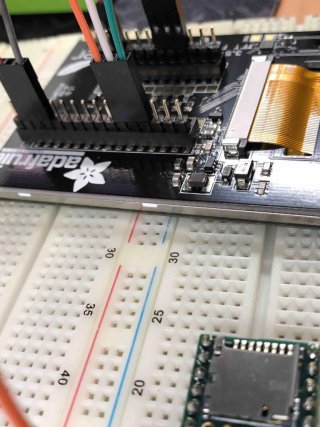 IMG_1083.jpg IMG_1083.jpg