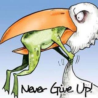 Frog-Never-Give-Up-Frog.jpg