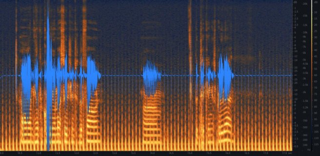 waveform.jpg