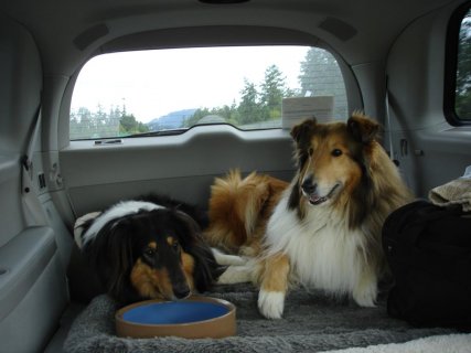 Jake-and-Clare-In-Car.jpg