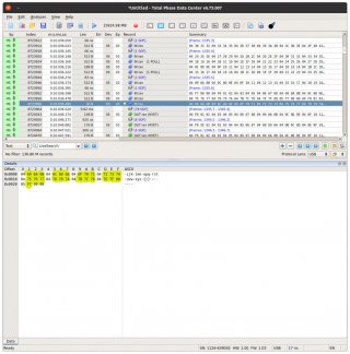 packet2.jpg