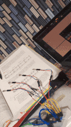 SequencingGloveCompressed.gif