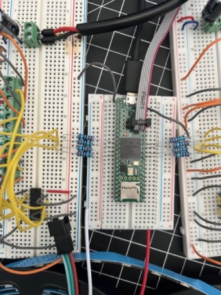 IMG_4929 Medium.jpeg IMG_4929 Medium.jpeg