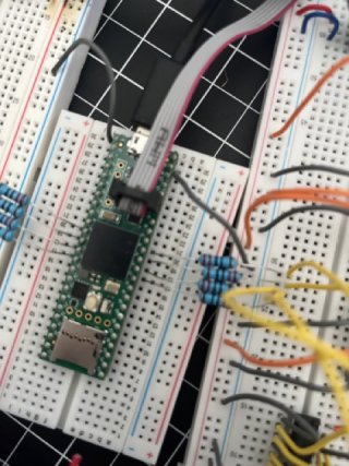 IMG_4933 Medium.jpeg IMG_4933 Medium.jpeg