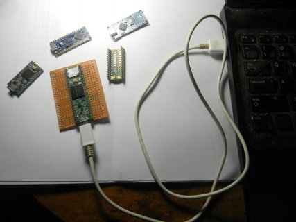 DSCN24.jpg