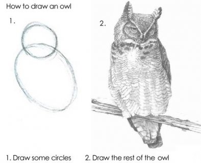 how-to-draw-an-owl.jpg
