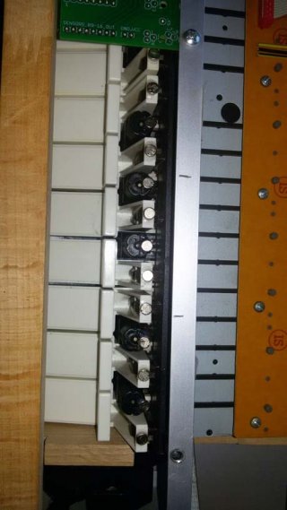fatar-tp8s-magnets5x2.jpg