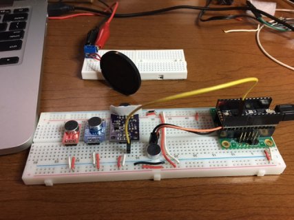 Mic Test Board and Speaker.JPG